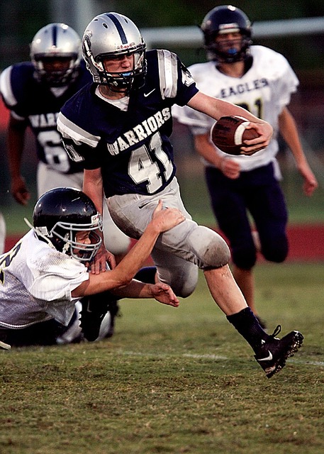 岛海牛新主 岛海牛新主