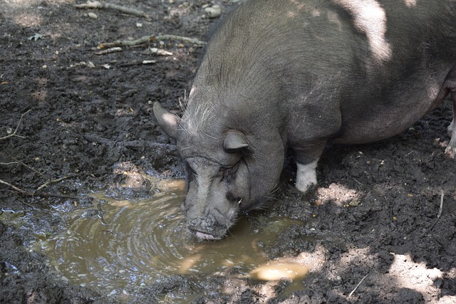 惊喜与骄傲 惊喜与骄傲