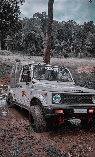 这种强大的 这种强大的