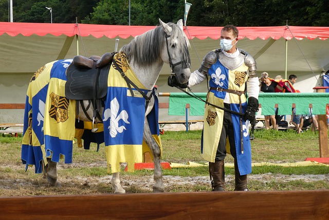 條件與判斷 條件與判斷