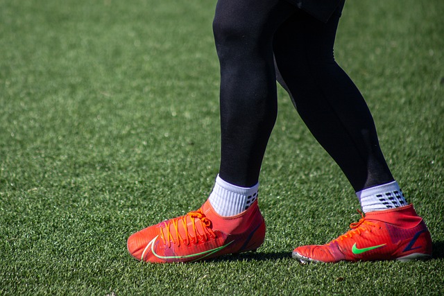 仅为物流行 仅为物流行