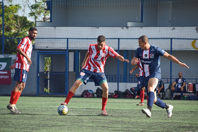 力与竞争压 力与竞争压